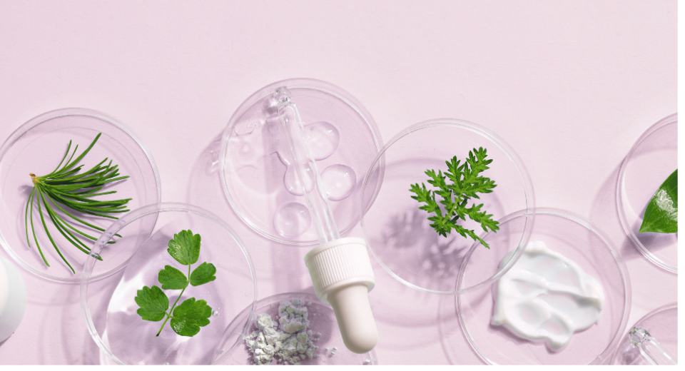 Organic and natural certification for Ziva Beauty skincare — verified 95% natural formulation Malaysia Singapore
